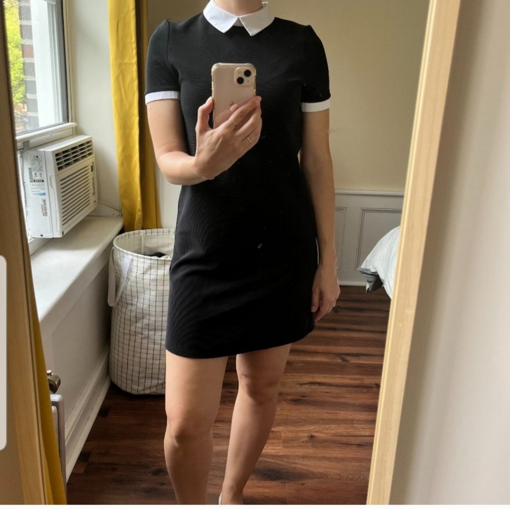 Zara Black and White Collared Dress